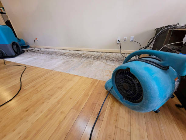 Professional Water Damage Repair technician working in Kipling, OH